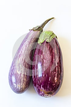 Front view of Dominican eggplants Solanum melongena food ingredients