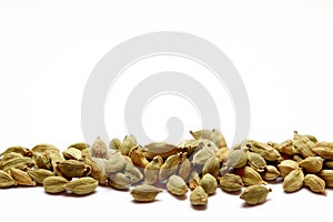 Front view of dried green cardamom seeds, isolated at the bottom of the image photo