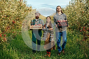 Front view farmer smile young woman stand hands on chest behind go men workers carry apples.