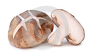 Front view of fresh and dry shiitake mushroom with half in stack  on white background with clipping path. Japanese and