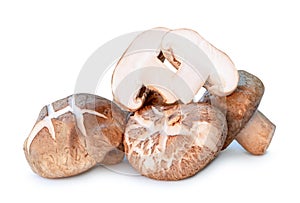 Front view of Fresh and dry shiitake mushrooms in stack isolated on white background