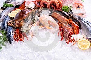 Front view fresh seafood on ice background with copyspae