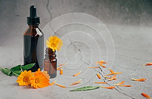 Front view of glass bottles of calendula essential oil with fresh marigold.