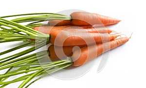 Front view of a handful of carrots with their branches photo