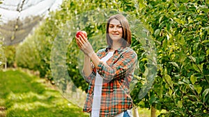 Front view looking at camera woman farmer holds two hands carefully and gently red ripe apple.