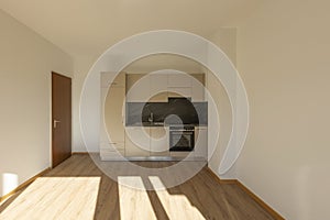 Front view of a modern kitchen in a renovated apartment with parquet flooring. Minimal view of the room where natural sunlight