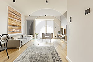 Front view of a modern living room interior with a vintage rug,