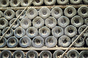 Bottom of old dust covered bottles in wine cellar