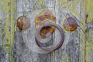 Front view of old doorknocker and painted wooden door