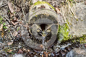 Front view of the old natural spring well covered by green moss and ice in the forest in the beginning of the spring season