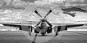 Front View of a P-51 Mustang airplane
