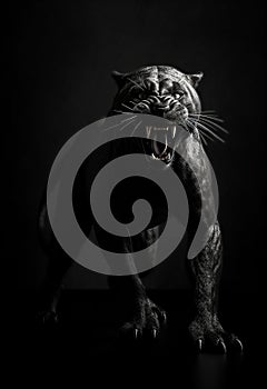 Front view of Panther on black background. Wild animals banner with copy space. Predator series walking out of the dark into the