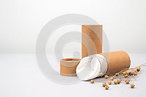 Front view on paper tubes with white cotton disks inside on light grey background with copyspace. Reusable packaging and recycling