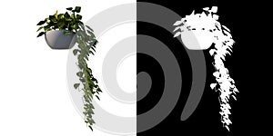 Front view of Plant Flowerpot Vase for Climbing Plants 1 Tree png with alpha channel to cutout made with 3D render