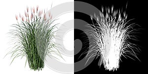 De planta ()  un árbol canal sobre el separar hecho  gráficos tridimensionales renderizados por computadora 