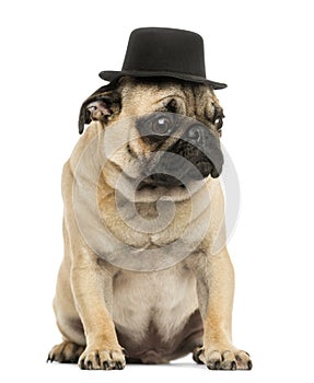 Front view of a Pug puppy wearing a top hat, sitting