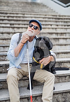 Front view of senior blind man with guide dog sitting the stairs in city.