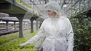 Front view of senior caucasian woman in protective workwear walking along rows of plants in glasshouse. Professional