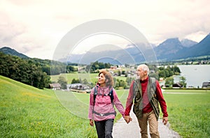 A front view of senior pensioner couple hiking in nature, holding hands.