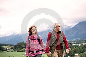 A front view of senior pensioner couple hiking in nature, holding hands.