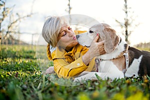 Front view of senior woman lying on grass in spring, kissing pet dog.