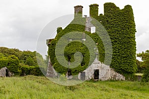 A front on view of the spectacular and magical ivy clad castle that has been left abandoned and left to the forces of