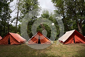 Front view of three orange camping tents standing in front of the forest.