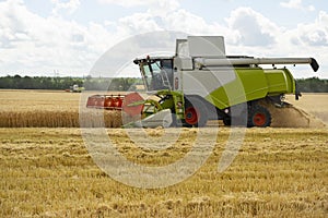 Front view on working wheat harvesters combine machine on gold wheat fields in summer. Europe wheat, rye harvesting
