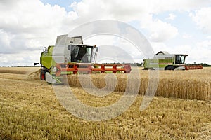 Front view on working wheat harvesters combine machine on gold wheat fields in summer. Europe wheat, rye harvesting