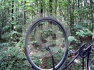 front wheel of a bicycle in motion
