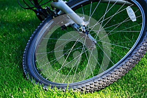 Wheel of a mountain bike