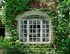 Front window of house