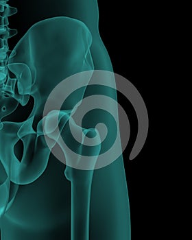 Front x-ray view of human hip