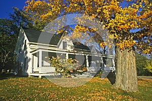 Front yard of home with Fall colors, New Hampshire