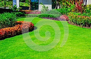 Front yard, landscape design With multicolored shrubs intersecting with bright green lawns Behind the house is a modern, garden ca