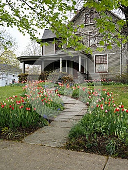 Front Yard Landscaping With Colorful Tulips