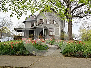 Front Yard Landscaping With Colorful Tulips