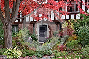 Front yard with maple trees in fall colors