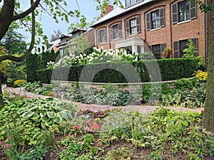 front yards with colorful flowers