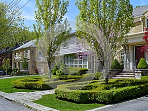 Front yards on suburban street photo