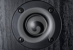 Frontal image of high frequency audio speaker