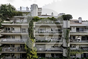 Frontal view of the facade of an urbanization of concrete buildings with large vines between balconies running along the facades