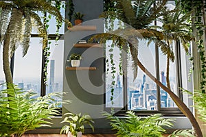 frontal view indoor jungle environment urban jungle nature concept digital home office concept 3D rendering