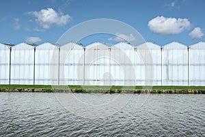 Frontal view of a modern industrial greenhouse in the Netherlands