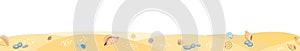Frontal view of the seashore. Yellow sandy beach. Shellfish and snail shells. Close up View. The isolated object on a