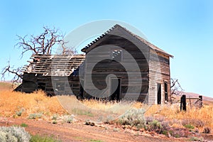 Frontier Homestead photo