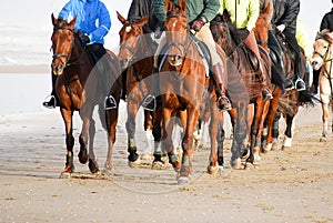 Frontview group horseback riding on the beach