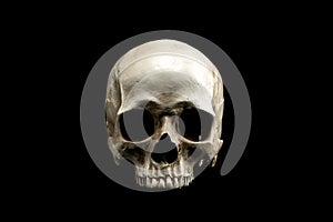 Frontview of natural human skull on isolated black background