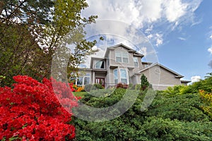 Frontyard of Single Family Home photo