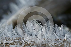 Frost close-up